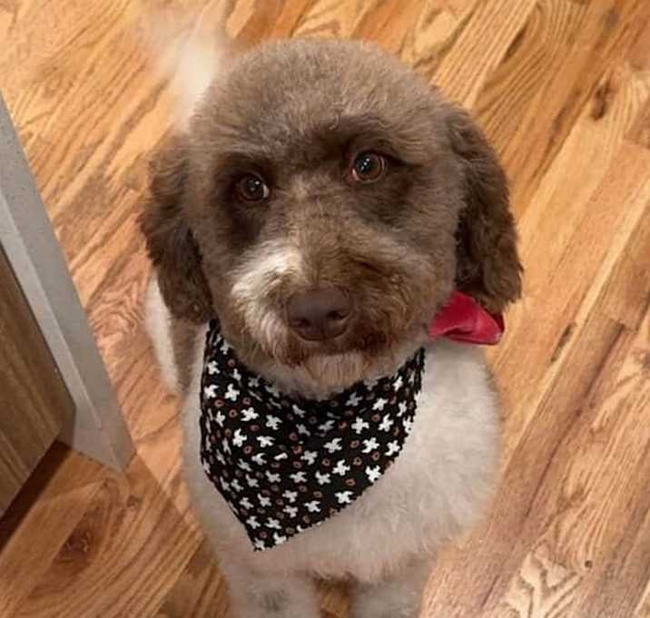 Photo of Marley