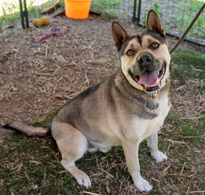 Photo of BUDDY