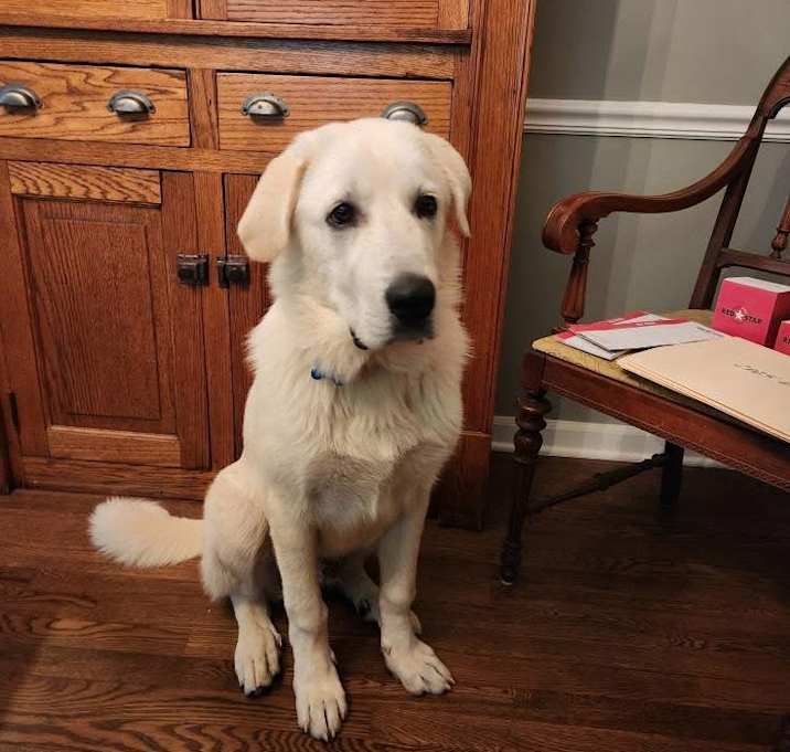 Photo of Ares 