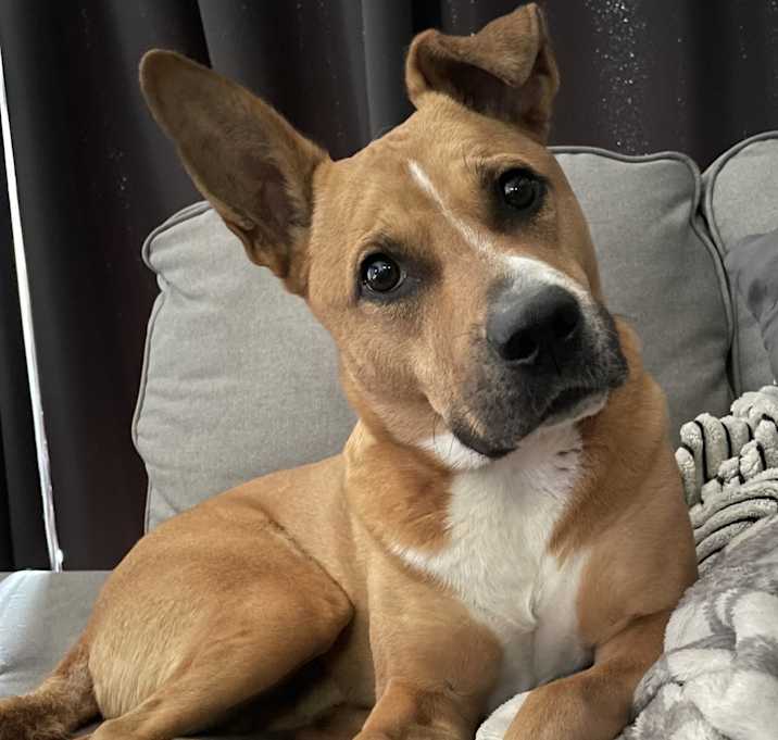 Photo of Zeus