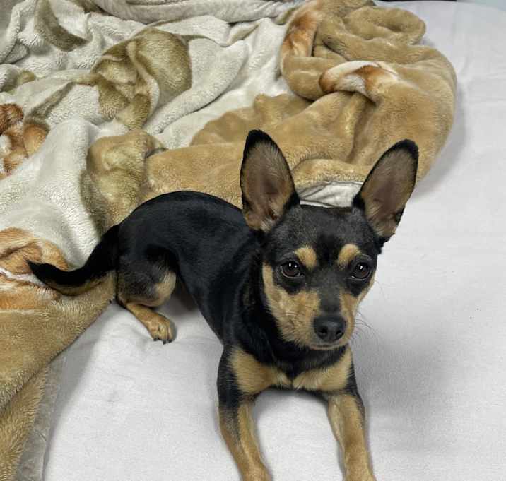 Photo of Little Miss