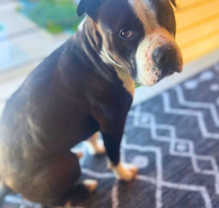 Photo of Twix