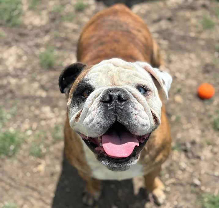Photo of Gorda