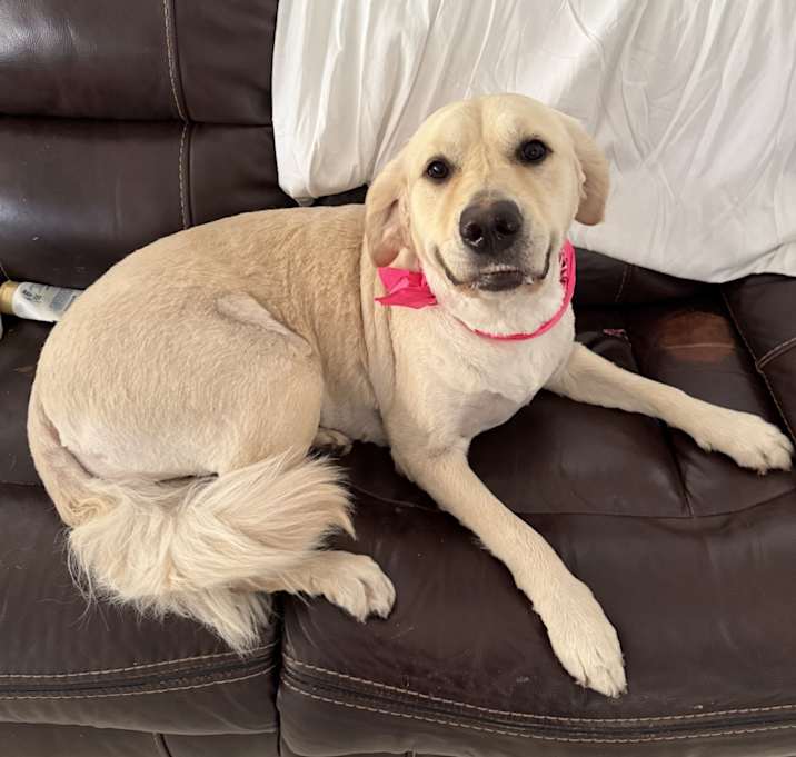Photo of Miley Cirus
