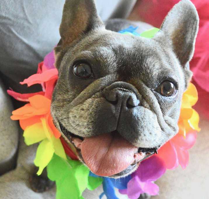 Photo of Lucy