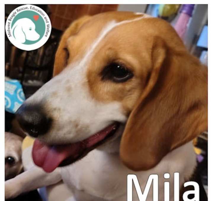 Photo of Mila