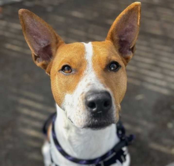 Photo of Bonnie