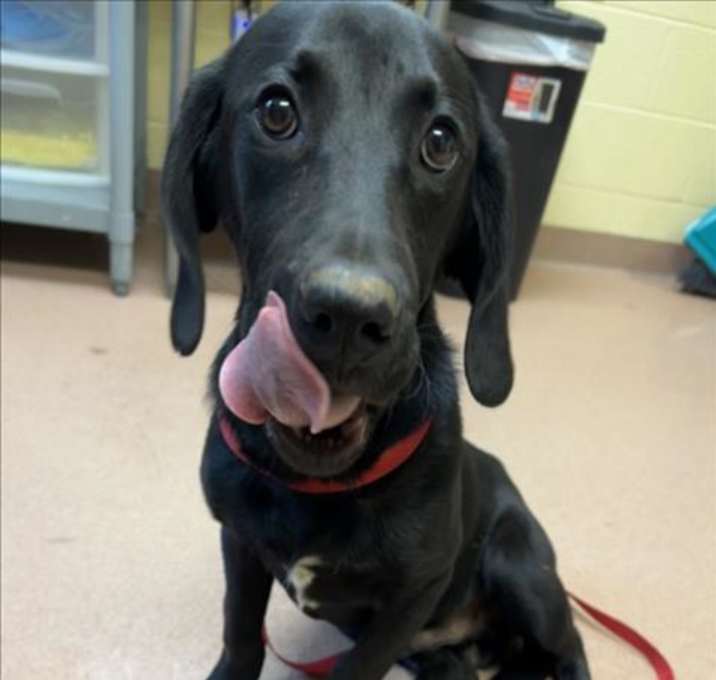 Photo of BEAU
