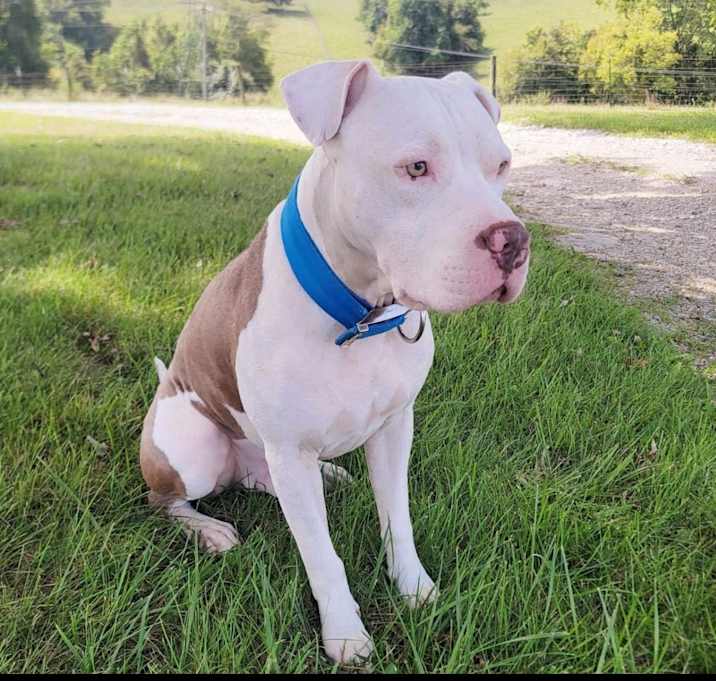 Photo of Blue