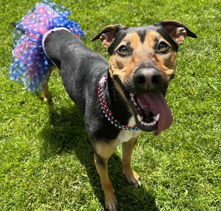 Photo of Sadie