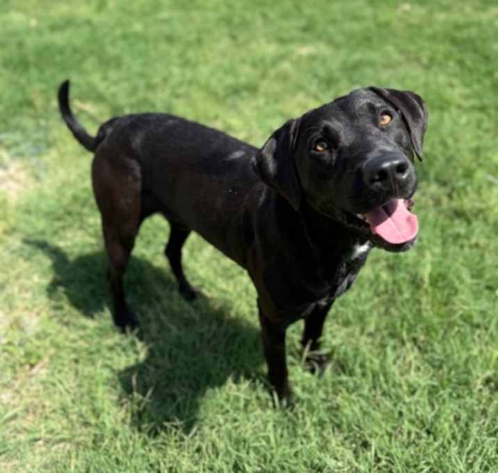 Photo of Murphy