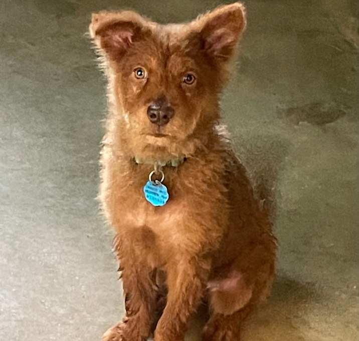 Photo of Todd
