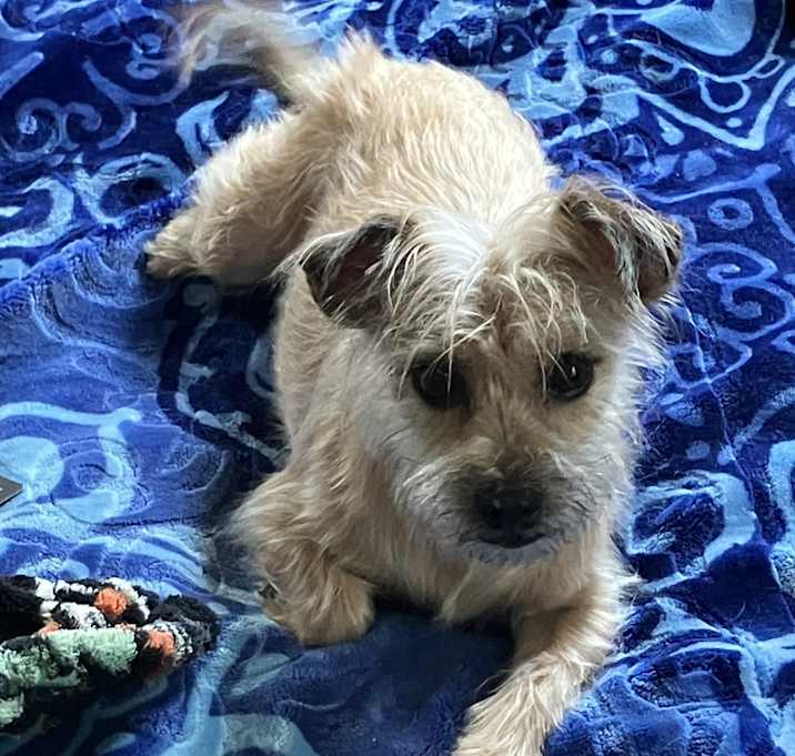 Photo of Mia
