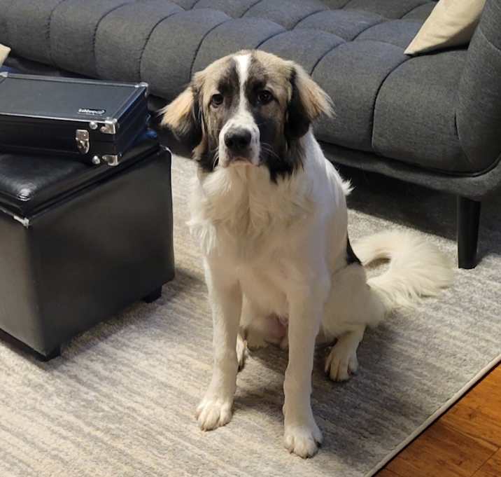 Photo of Gus