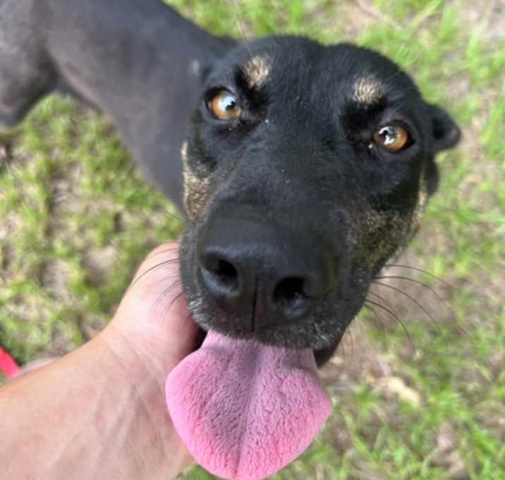 Photo of Marcy