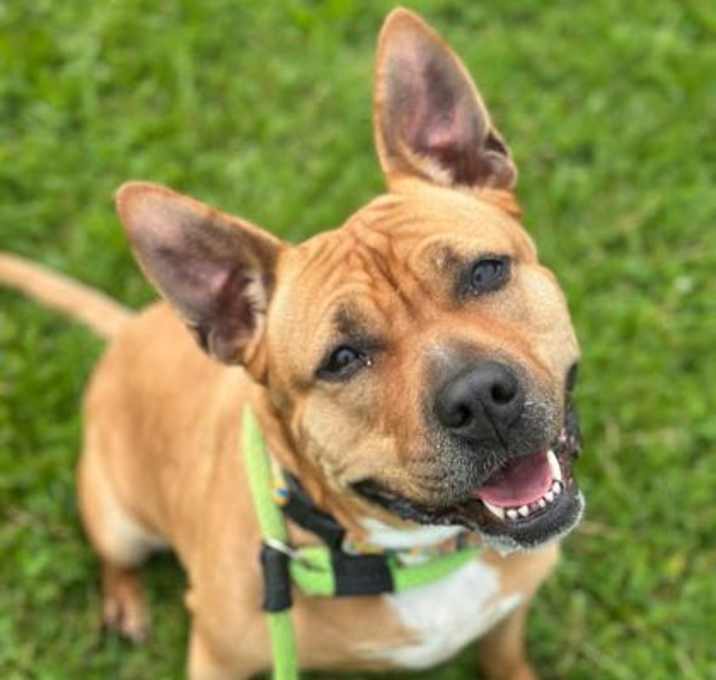 Photo of Duchess