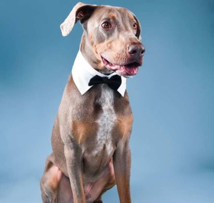 Photo of Benjie