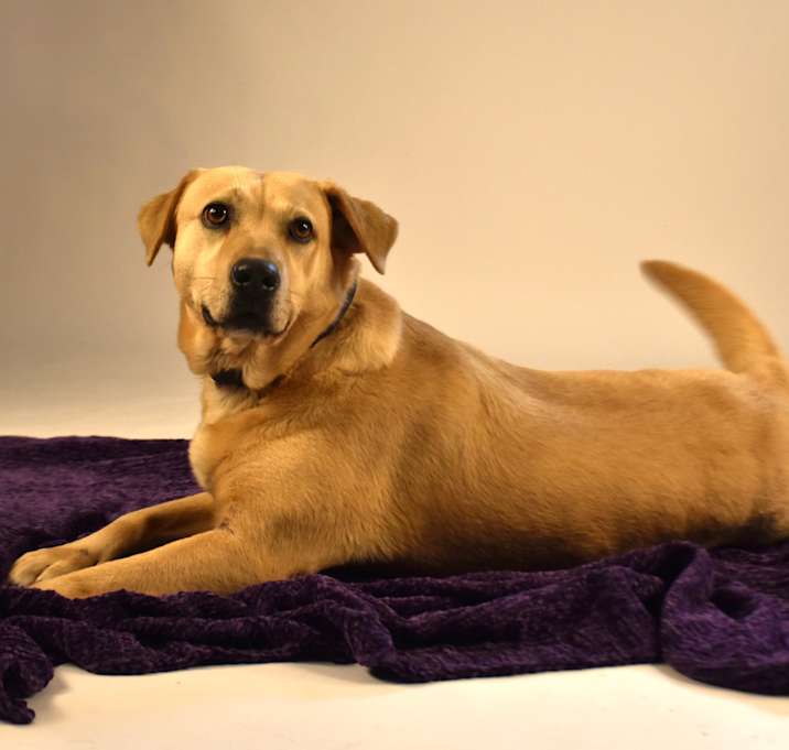 Photo of Audrey