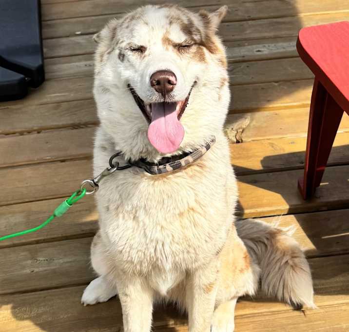 Photo of Aika