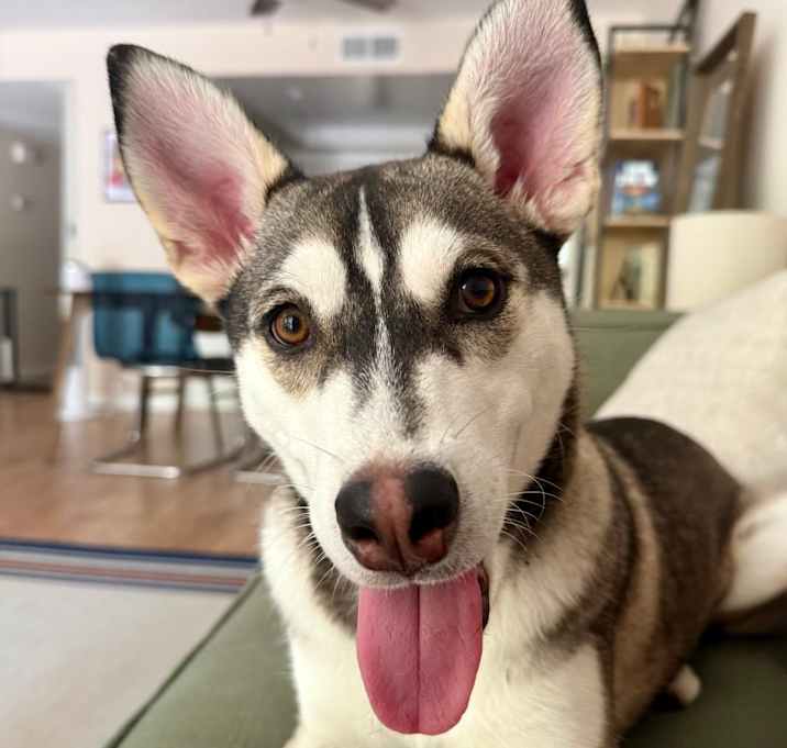Photo of Holly