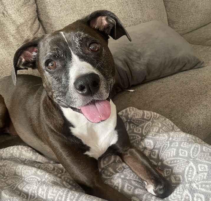 Photo of Lucy