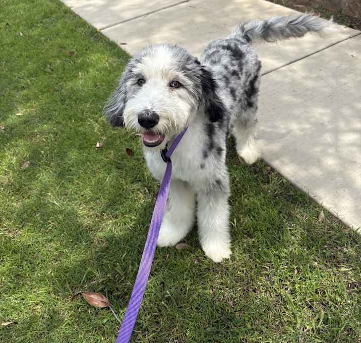 Photo of Storm