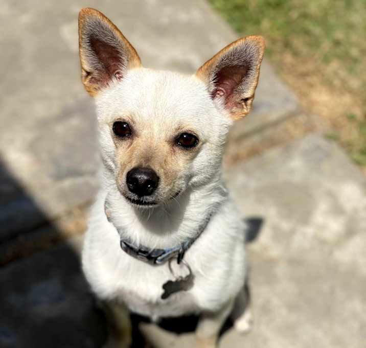 Photo of Max