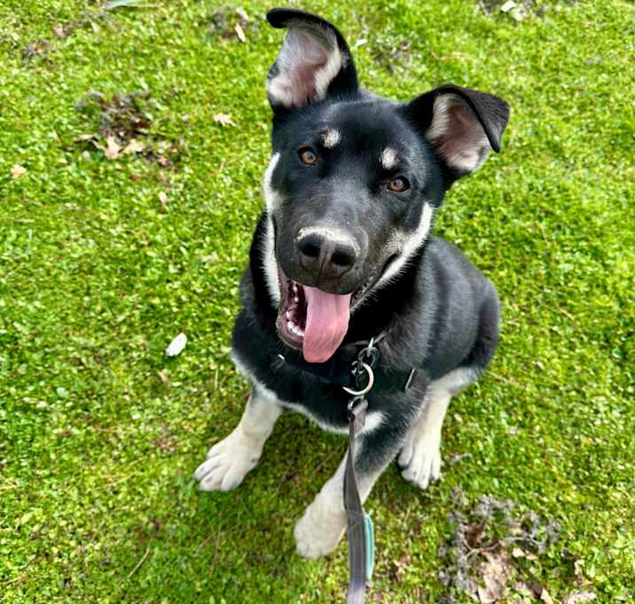 Photo of Bruno