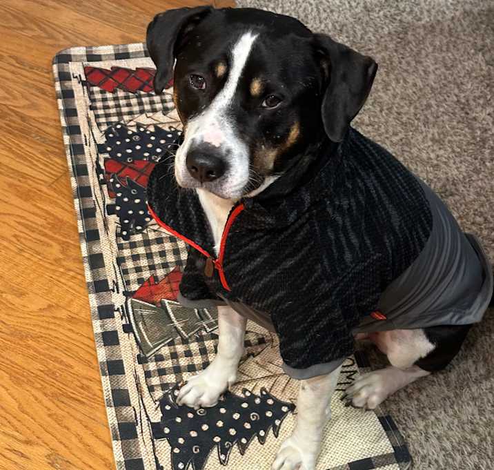 Photo of Jaxx