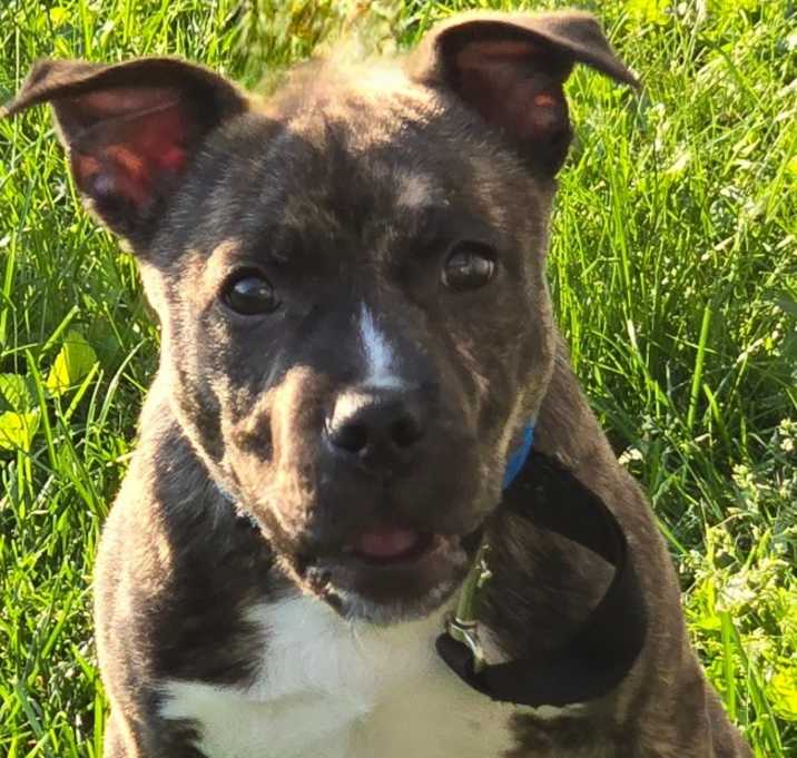 Photo of Zipper