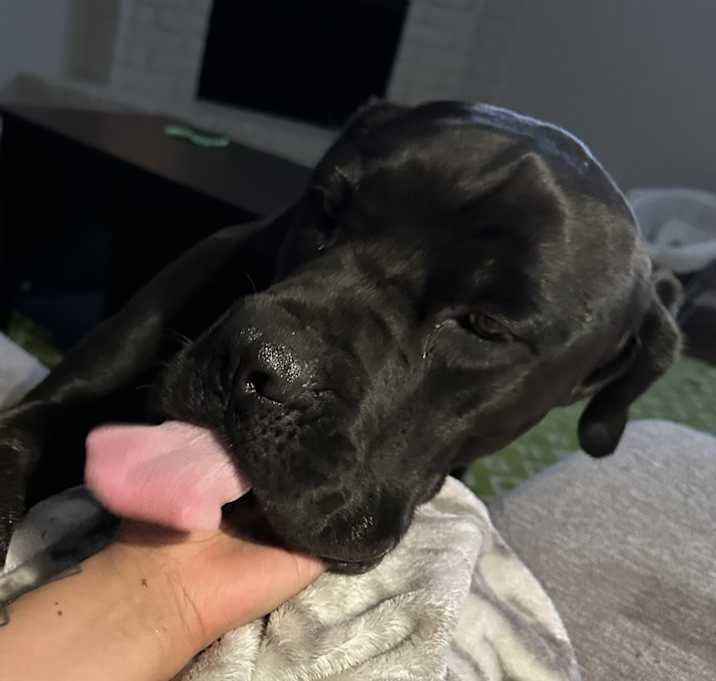 Photo of Zeus