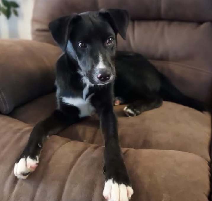 Photo of Fritz