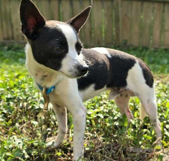Photo of YODA