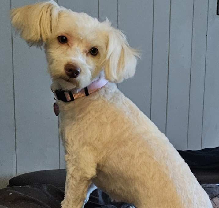 Photo of Kiki
