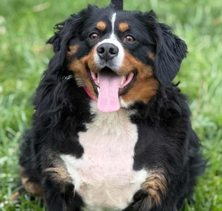 Photo of Eclair