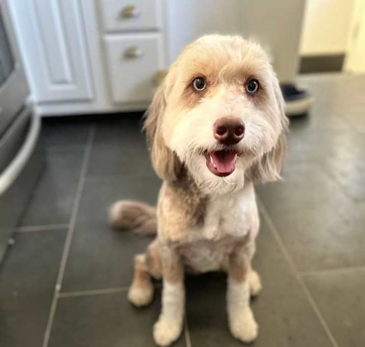 Photo of Poco