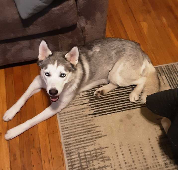 Photo of Zeus