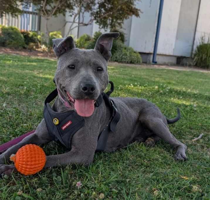 Photo of Sammie
