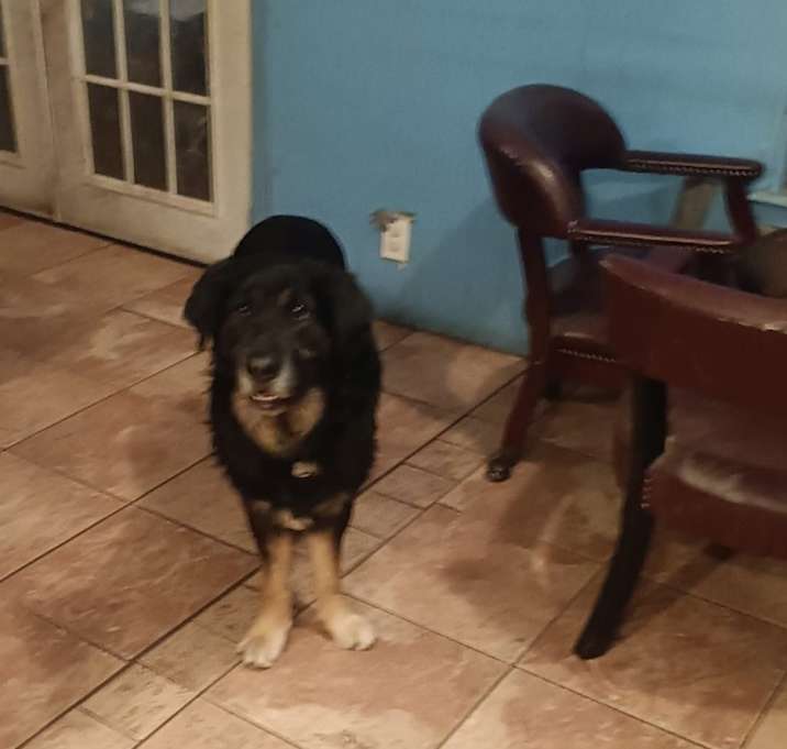 Photo of Oso