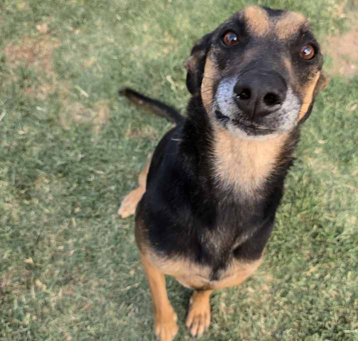 Photo of Molly