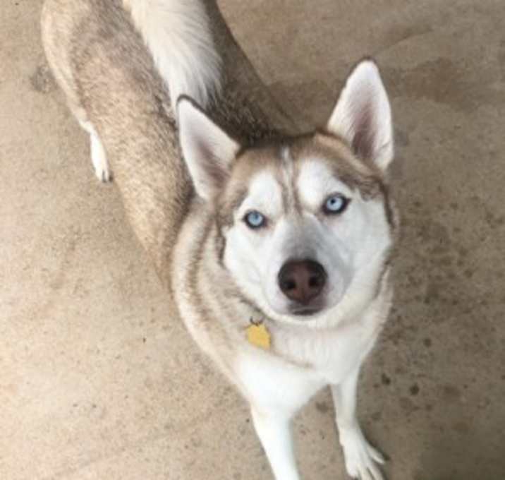 Photo of Kira