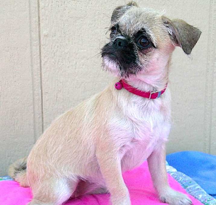 Photo of DALILA