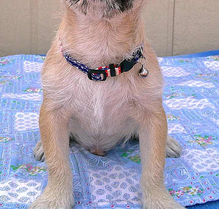 Photo of SAMPSON