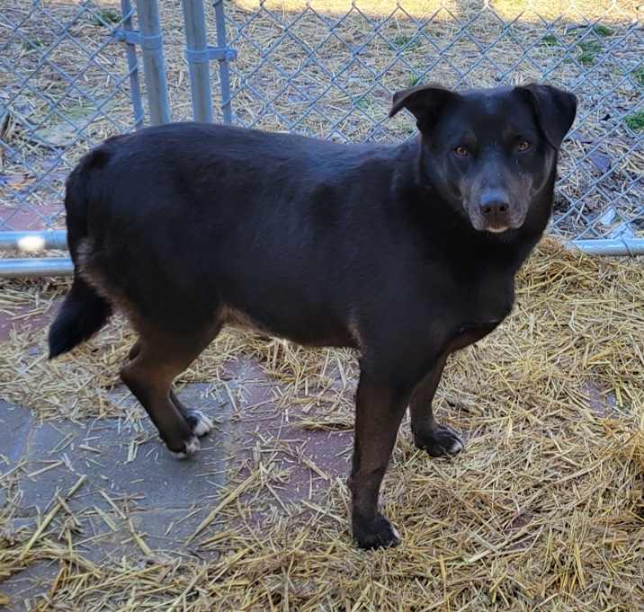 Photo of Zena