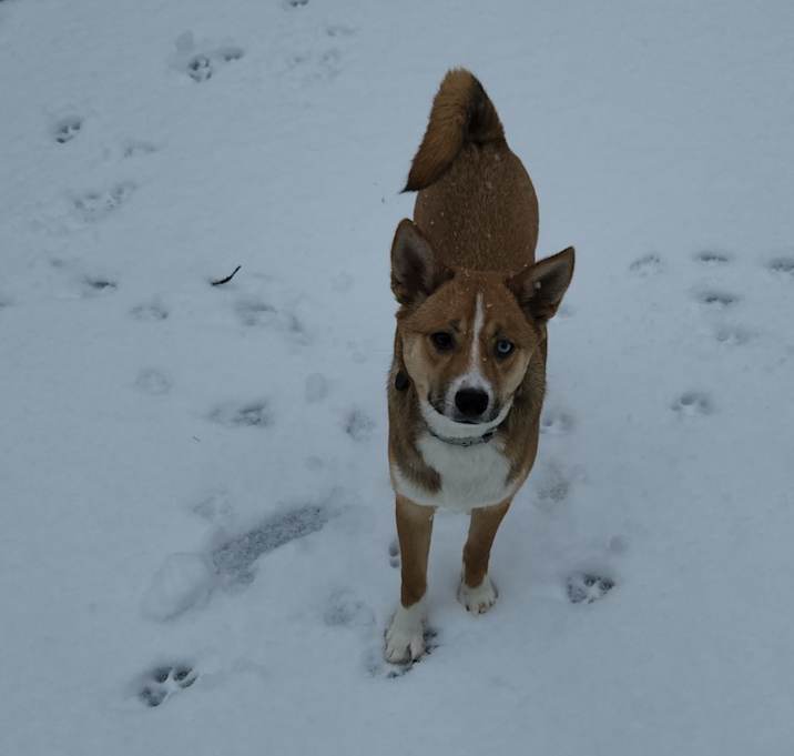 Photo of Bob