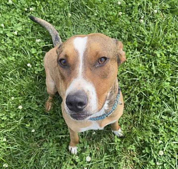 Photo of Whiskey