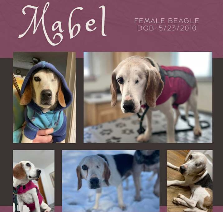 Photo of Mabel