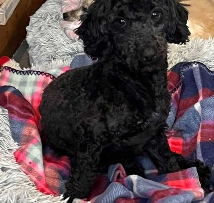 Photo of Mitzi