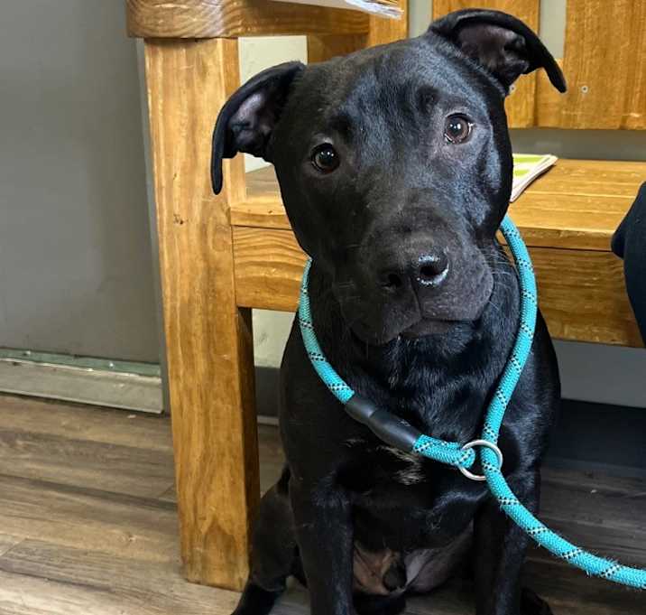 Photo of Tank