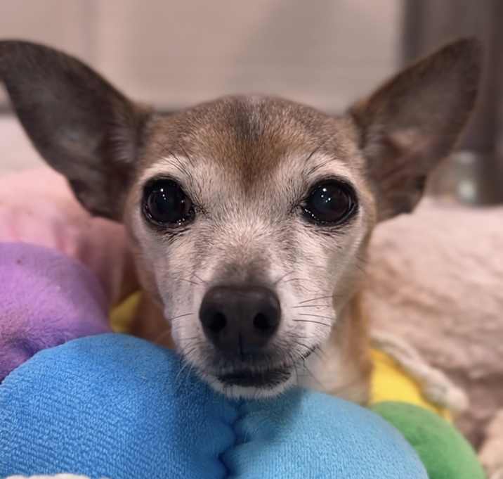 Photo of Noella